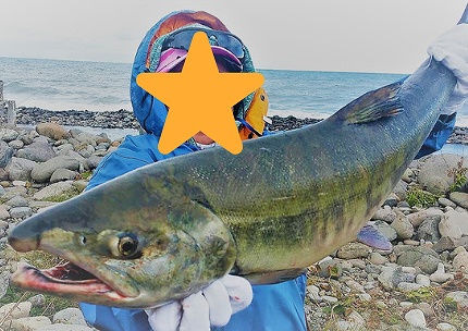 北海道鮭釣り 河口規制 本当は教えたくない 釣り場 タックル紹介 さっつんブログ