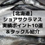 北海道 サクラマスジギング おすすめタックル 釣果アップの4つの秘訣 さっつんブログ